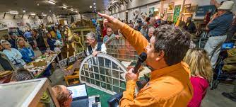 Antique Auction Secrets Revealed: How to Score Big Wins and Rare Collectibles