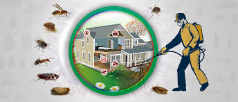 Pest Control: A Vital Defense Against Infestations and Damage