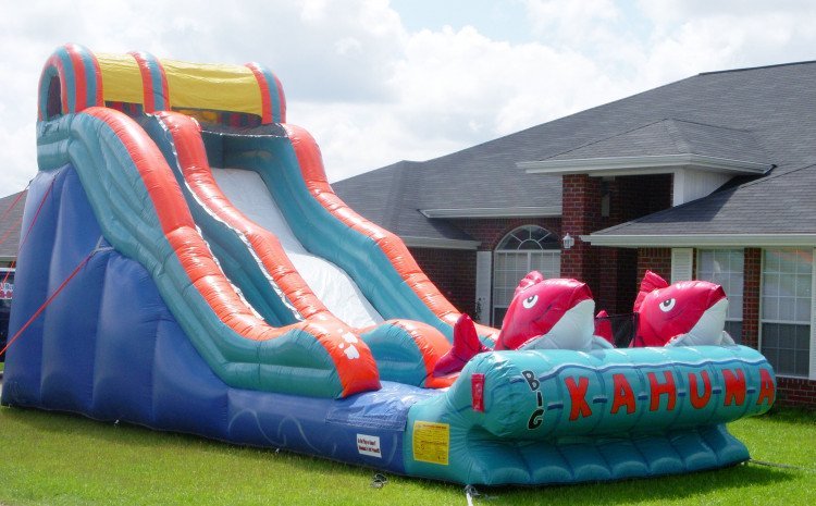 Ultimate Bounce House Rentals Guide