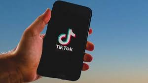 Easy Tiktok Video Downloader: Free Download In Seconds